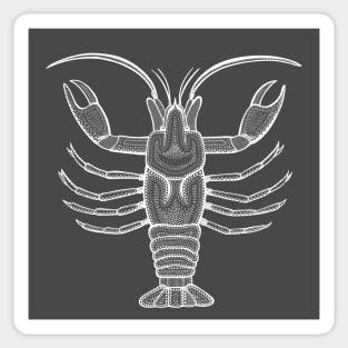 Crayfish or Crawdad - hand drawn detailed animal design Sticker
